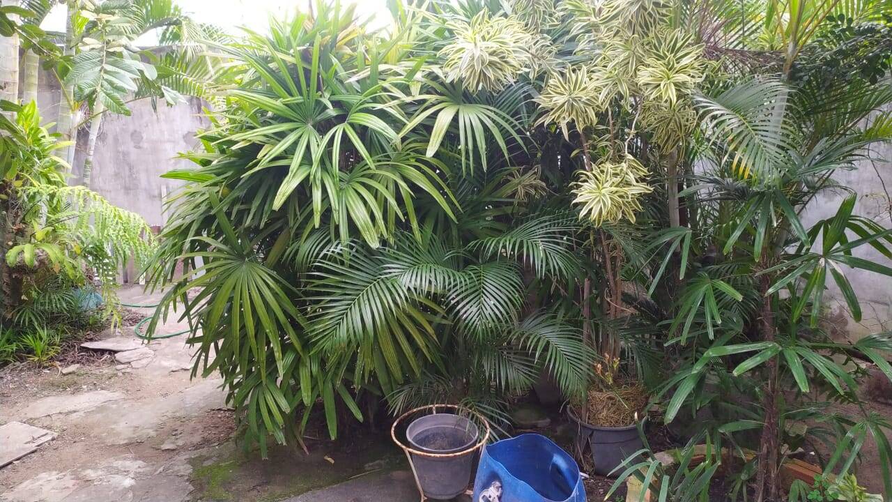 Casa, 2 quartos - Foto 17