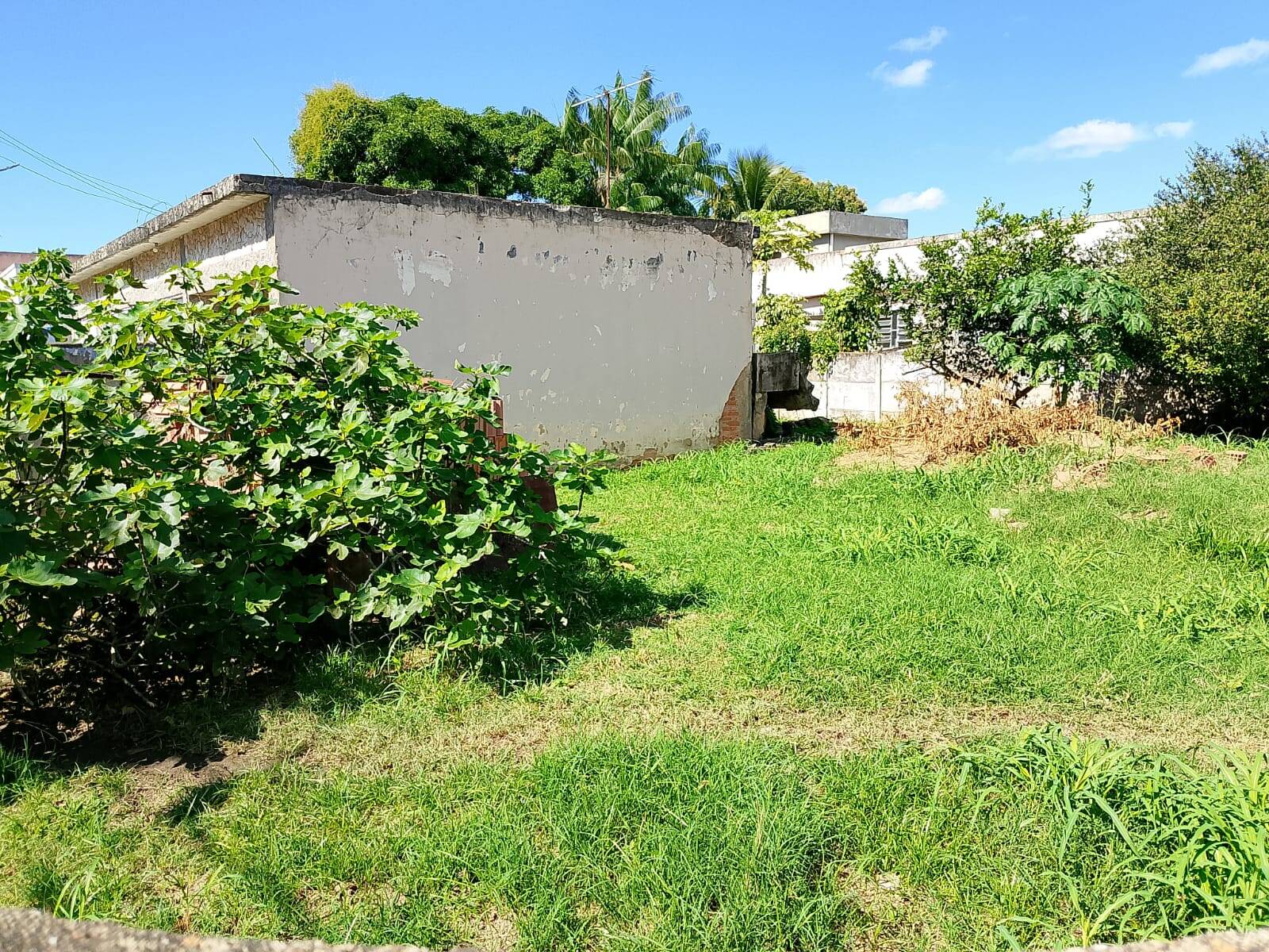 Casa, 3 quartos - Foto 13