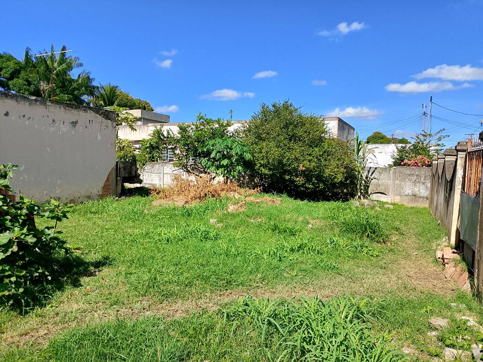 Casa, 3 quartos - Foto 14