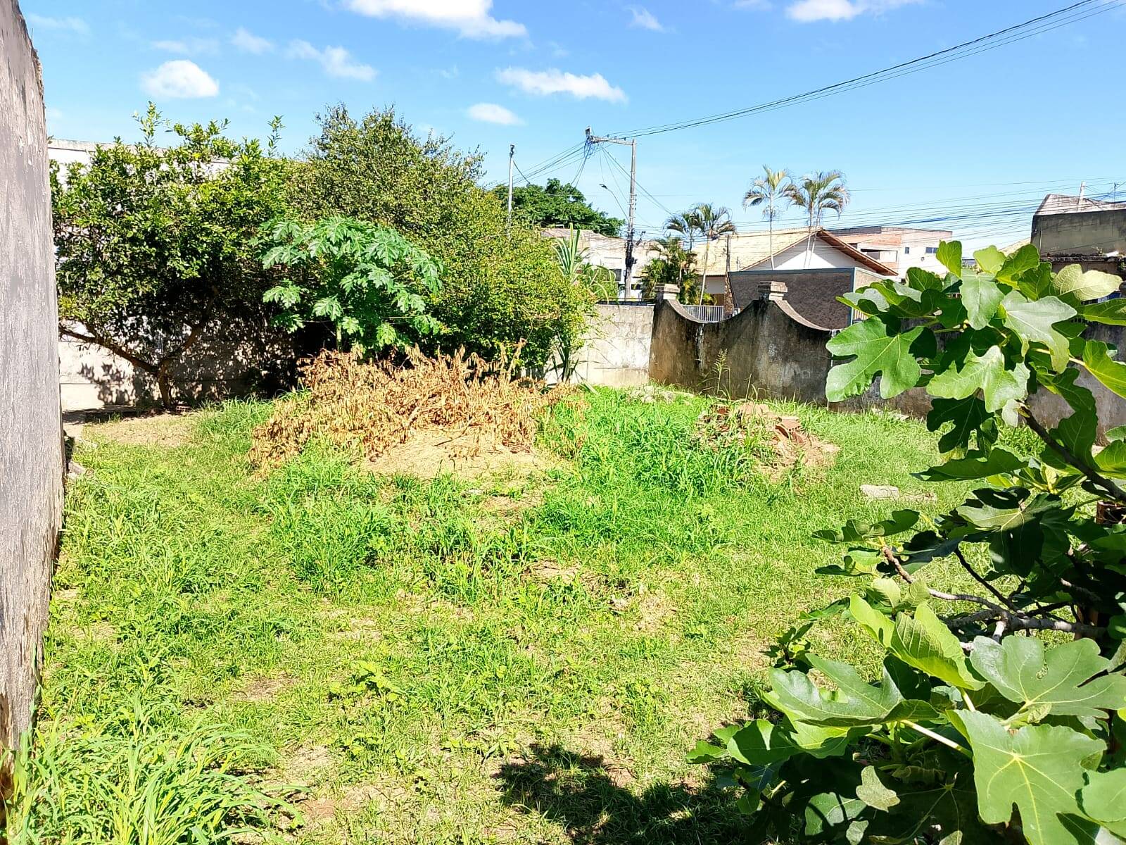 Casa, 3 quartos - Foto 17