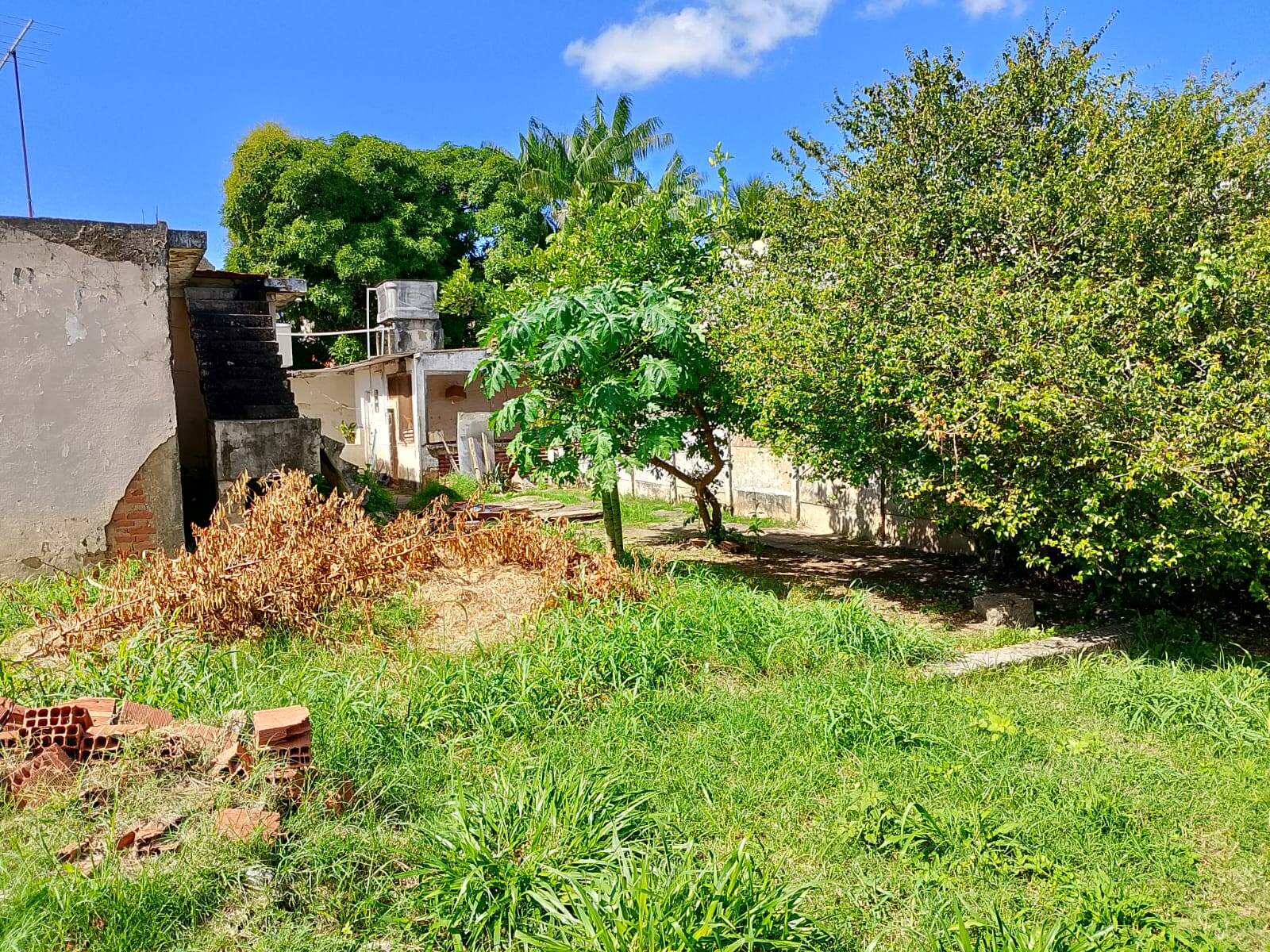 Casa, 3 quartos - Foto 18