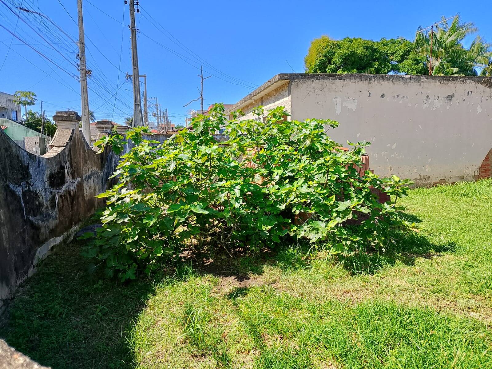 Casa, 3 quartos - Foto 36