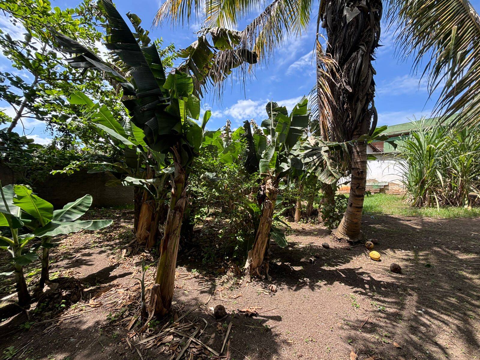 Casa, 3 quartos - Foto 15