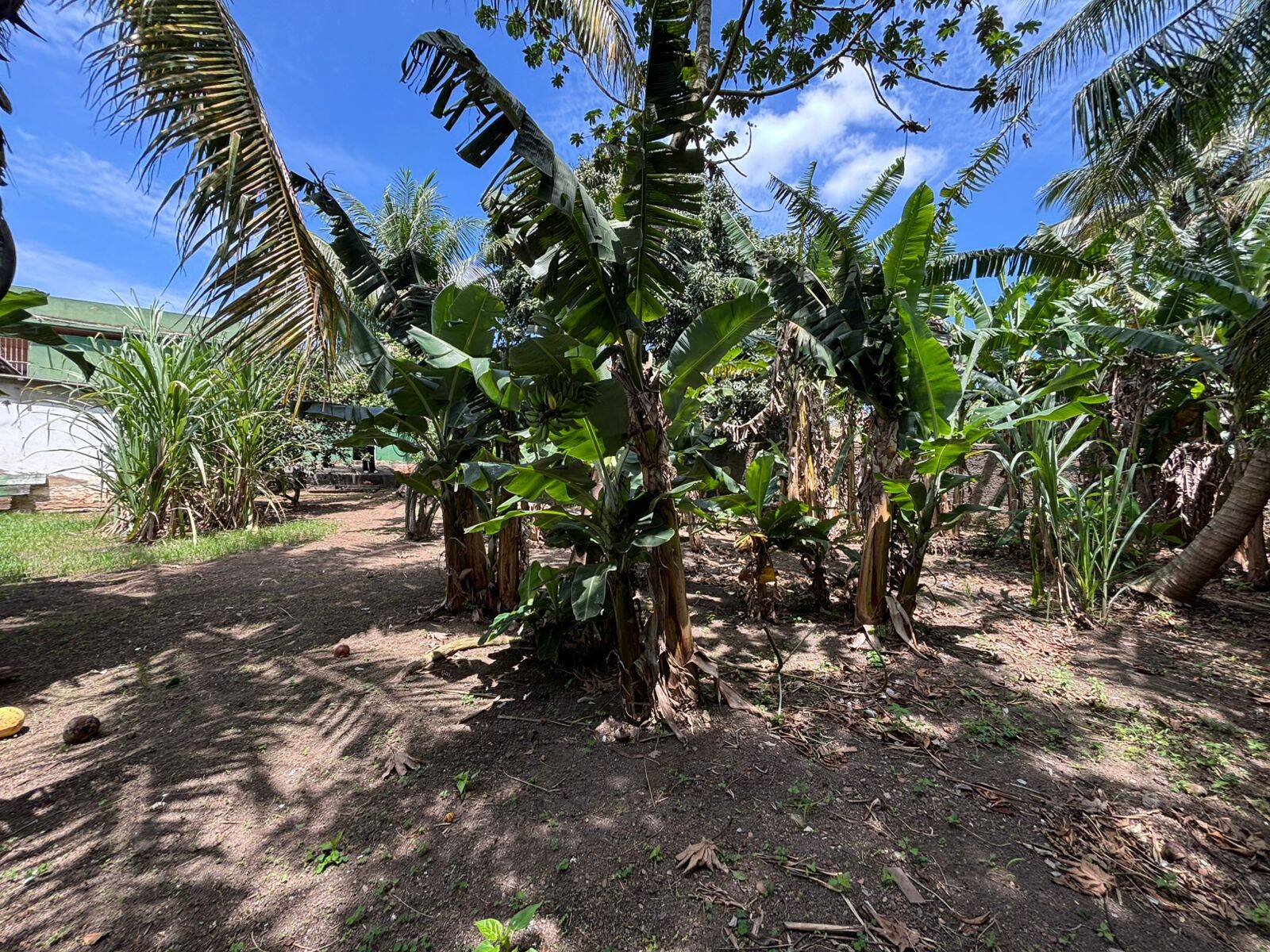 Casa, 3 quartos - Foto 16