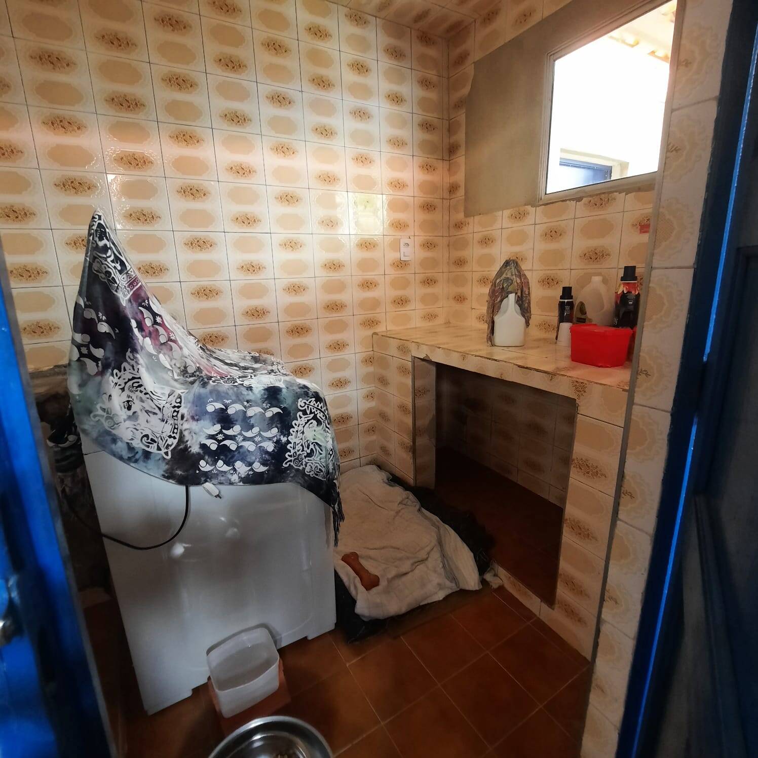 Casa, 5 quartos, 157 m² - Foto 19