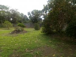 Chácara para Venda em Campos dos Goytacazes - 5
