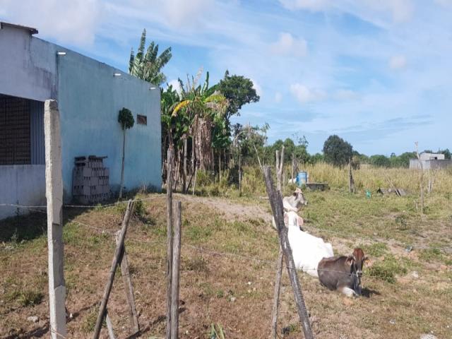 #507 - Área para Venda em Campos dos Goytacazes - RJ - 1