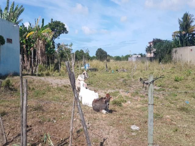 #507 - Área para Venda em Campos dos Goytacazes - RJ - 2