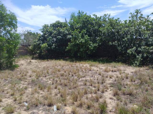 #848 - Terreno para Venda em Campos dos Goytacazes - RJ - 3