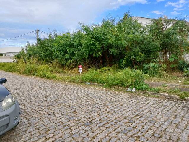 #1039 - Área para Venda em Campos dos Goytacazes - RJ - 3