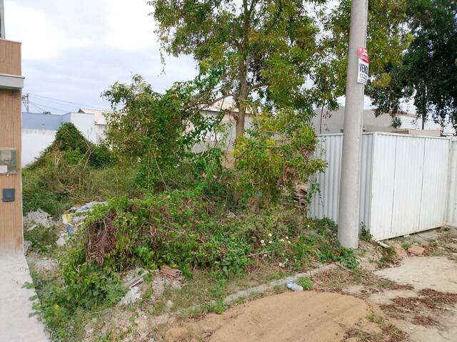 #1128 - Área para Venda em Campos dos Goytacazes - RJ - 3